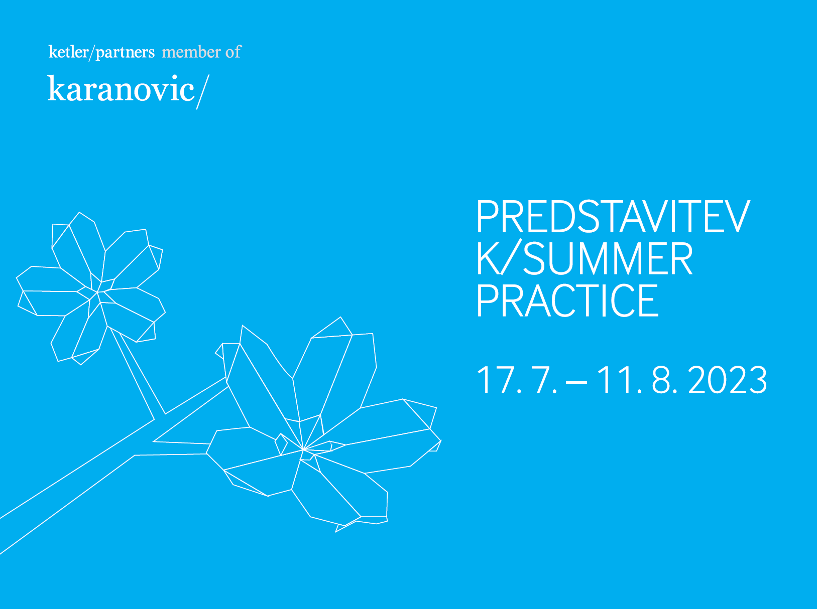 Študentsko delo v odvetniški pisarni (Ljubljana) - K/Summer Practice 2023