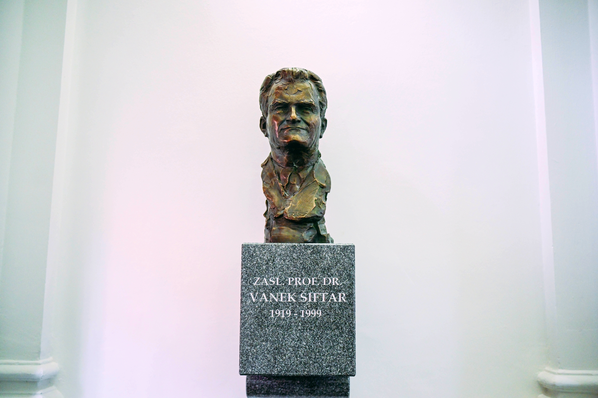 Portret zaslužnega profesorja dr. Vaneka Šiftarja