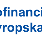 Okrogla miza »Čezmejna mobilnost gospodarskih družb v Evropski uniji« - Slika 15